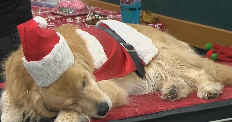 40th annual Santa Dog fundraiser under way at Bueche’s Food World | Local [Video]