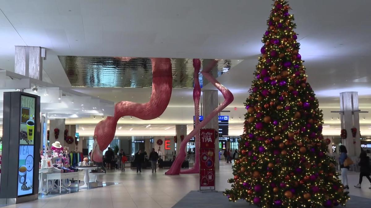 Some flights delayed or canceled at TPA on Christmas Day [Video]