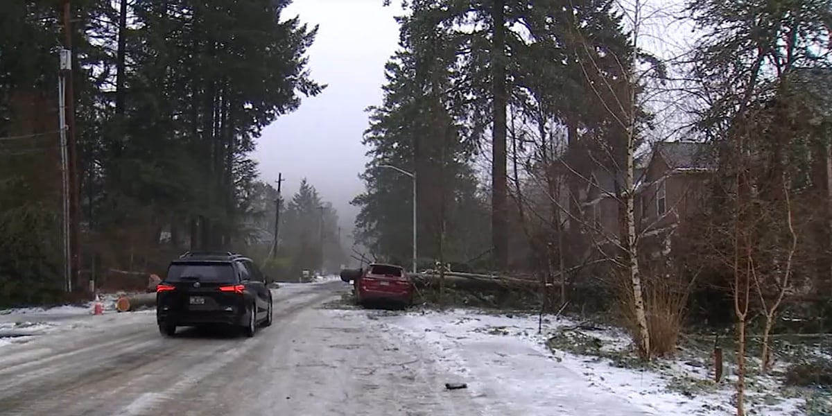 Portland power outages, Day 5: Some celebrate restored power, others still waiting [Video]