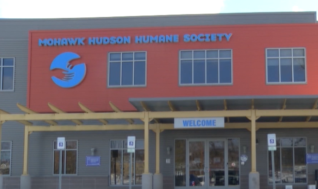Mohawk Hudson Humane Society seeks youth volunteers [Video]