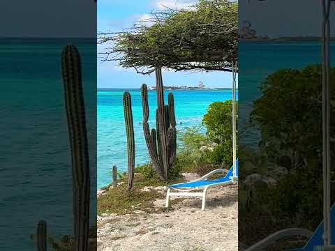 Mangel Halto Beach Views 🌵 [Video]
