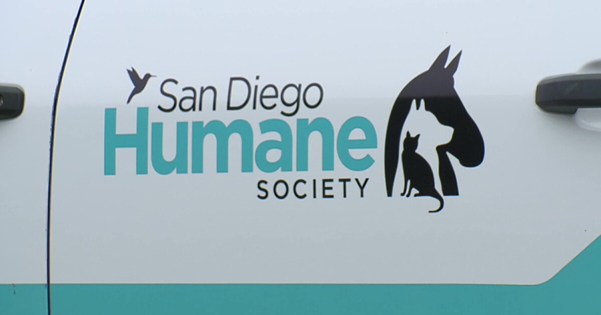 San Diego Humane Society helps flood victims care for pets [Video]