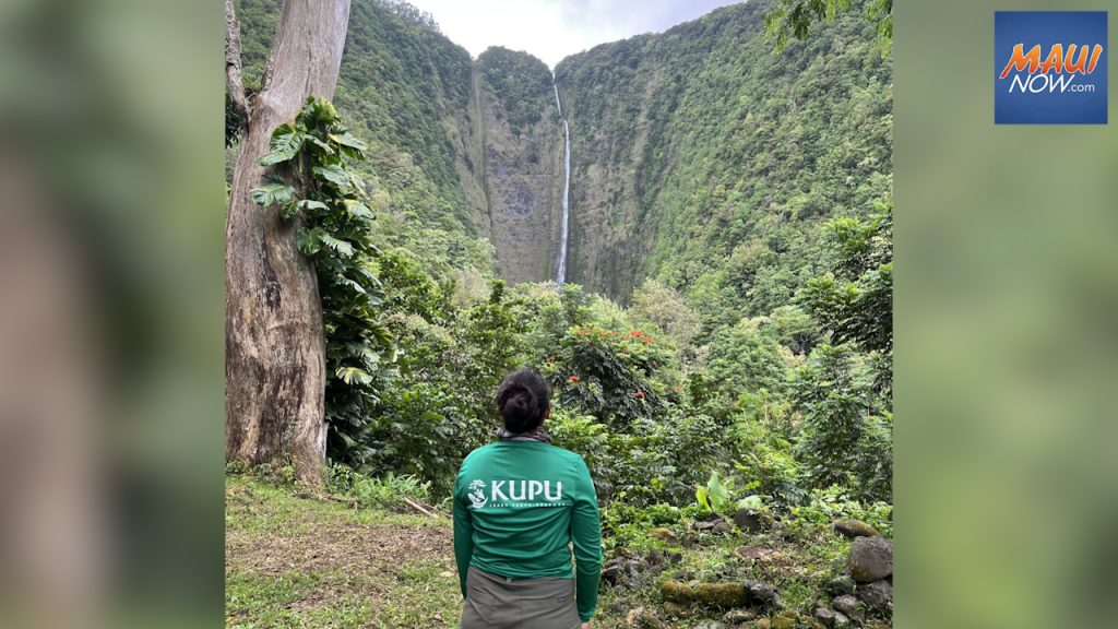 Kupu seeking applicants for youth summer programs : Maui Now [Video]