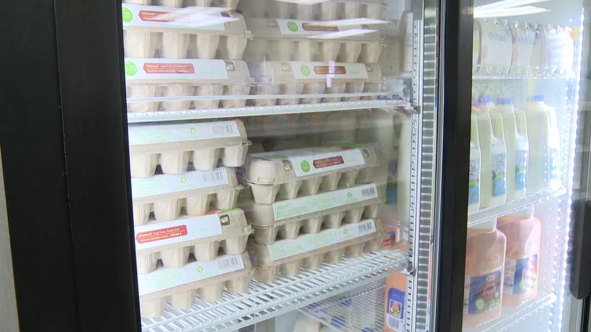 Student grocery store opens at high school in Fort Worth [Video]