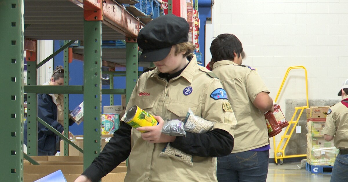 “Scouting for Food” drive a success at Billings Family Service [Video]