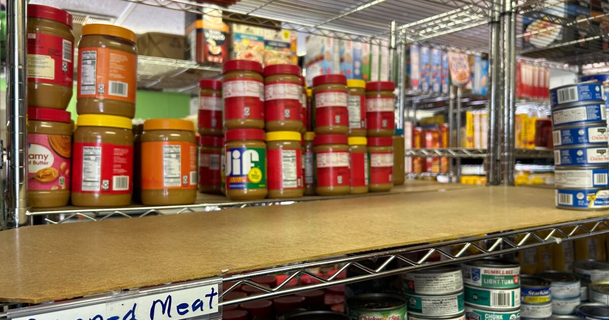 Dunedin food pantry says it’s in need of donations [Video]