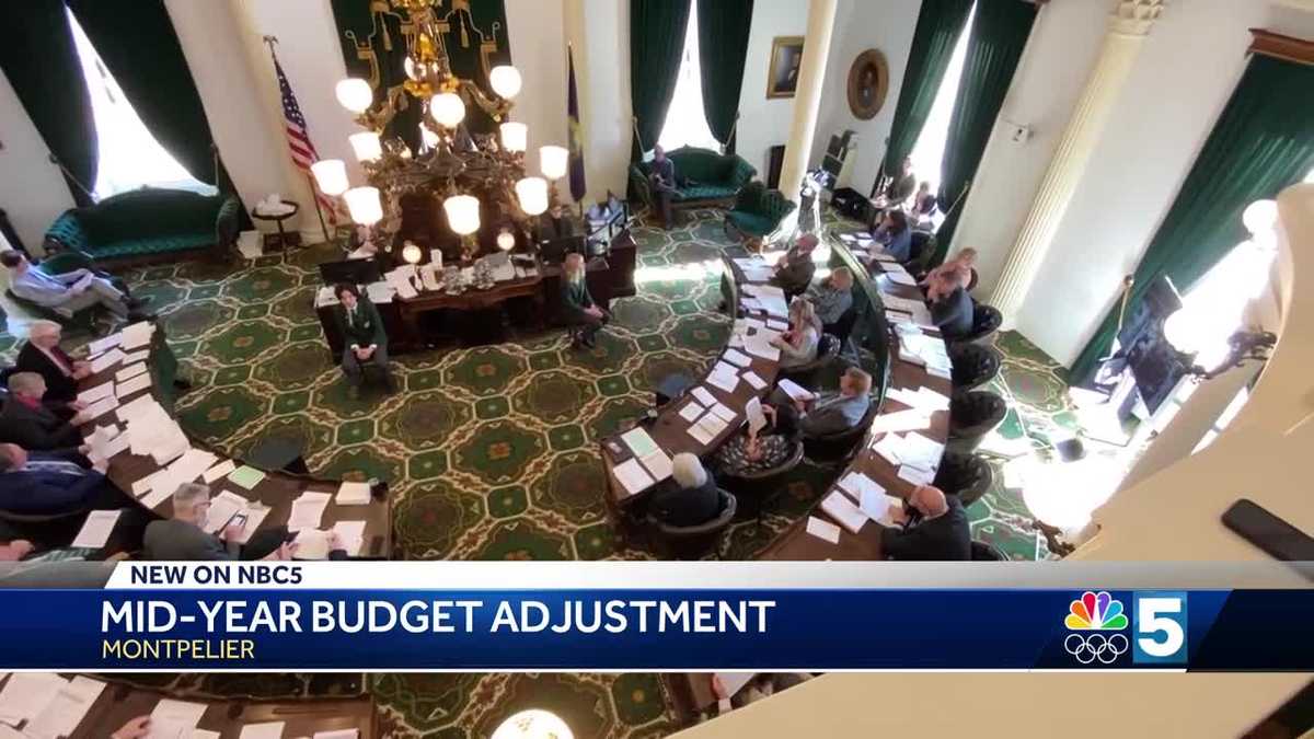 State senators greenlight budget adjustment after hours of debate [Video]