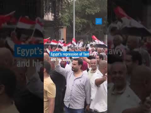 Egypt court punishes activists for challenging al-Sisi [Video]