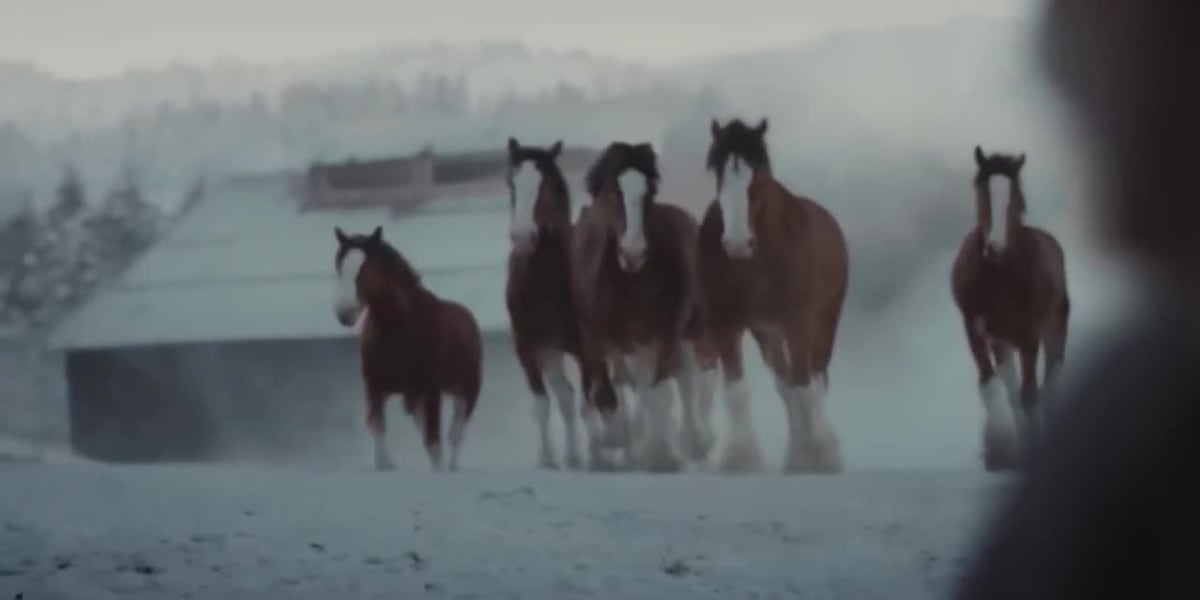 The art behind the perfect Super Bowl adv [Video]