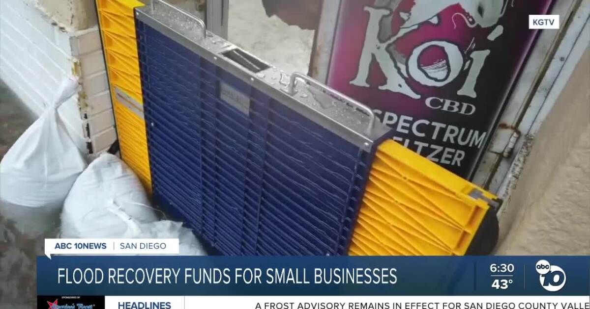 City of San Diego offering flood recovery funds to small businesses, nonprofits [Video]