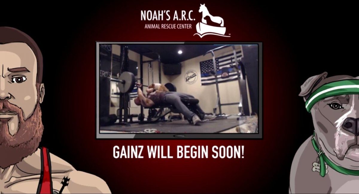 Gym w/Hank-a-Tank [Week 7] – Shoulders // 27yrs [Video]