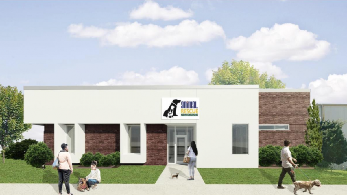 Animal Rescue New Orleans to build new home in Elmwood with donation [Video]