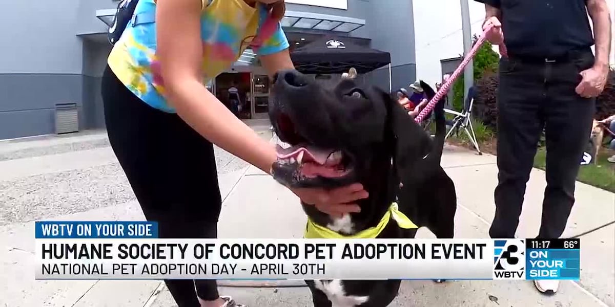 Humane society of Concord holds pet adoption event [Video]