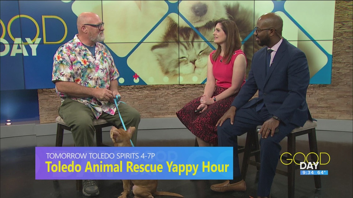 Toledo Animal Rescue Yappy Hour | Good Day on WTOL 11 [Video]