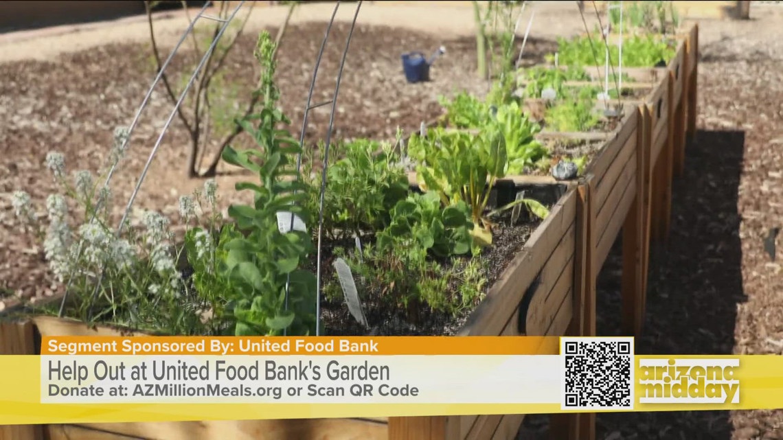 Sponsored: Use your green thumb to help United Food Bank [Video]