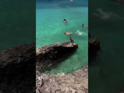 Fall in love with Aruba 🇦🇼 [Video]