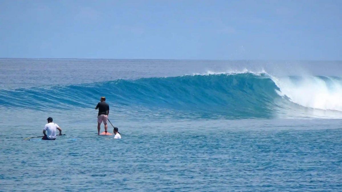 Maldives SUP Surf & Foil Coaching Trips: Travel With A Paddle [Video]