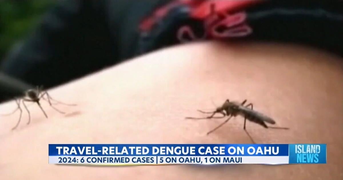 O’ahu confirms another case of travel-related Dengue Virus | Video