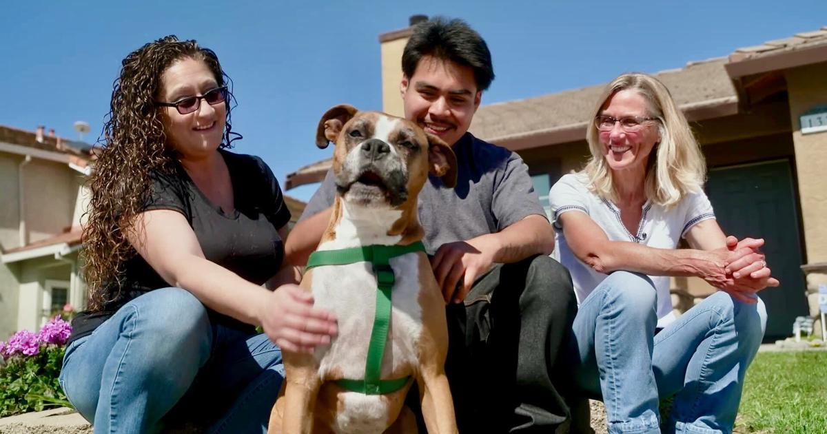 By giving dogs a second chance through adoption, these vulnerable kids are getting a second chance of their own | News [Video]