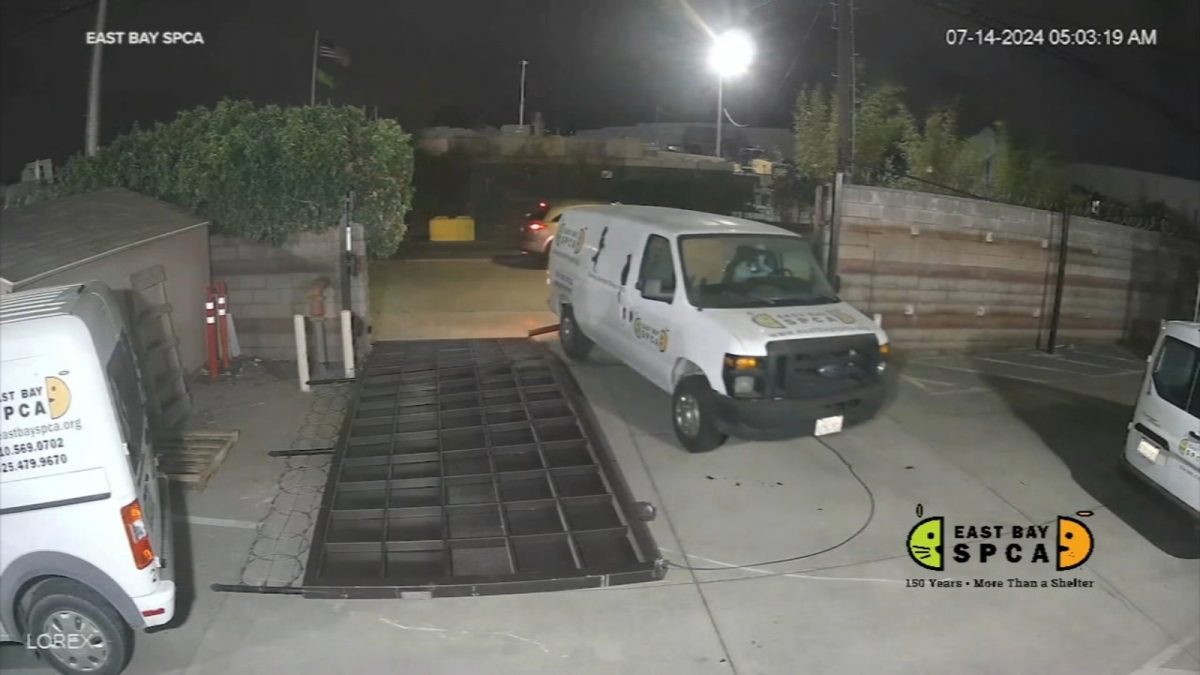 Suspect rams gate of East Bay SPCA, steals large transport van: surveillance video