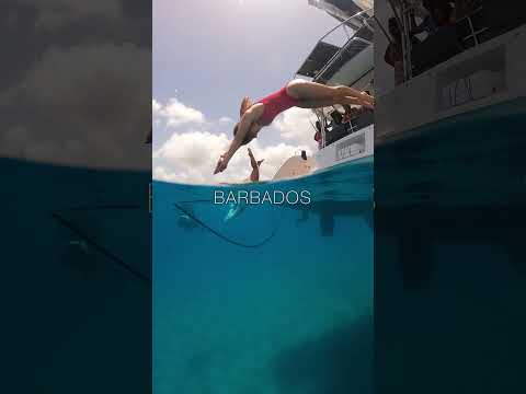 Must Visit Caribbean Destinations [Video]