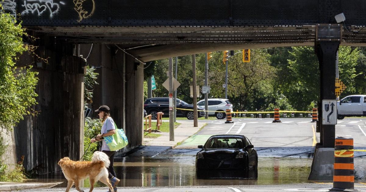 Toronto Humane Society provides flood safety tips for pets [Video]