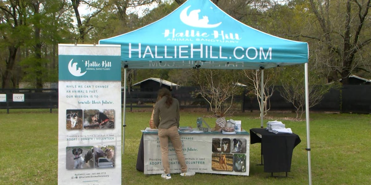 Hallie Hill Animal Sanctuary raising funds with Laps for Love [Video]