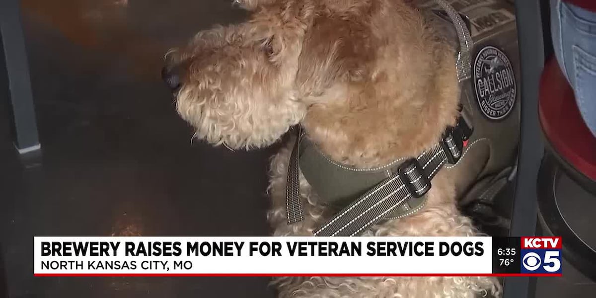 Local nonprofit, brewery team up to provide service dogs for retired veterans [Video]