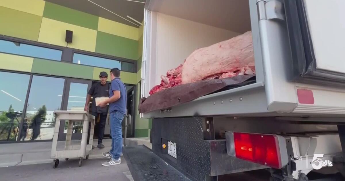 Meat from the county fair livestock sale delivered to the Springs Rescue Mission [Video]