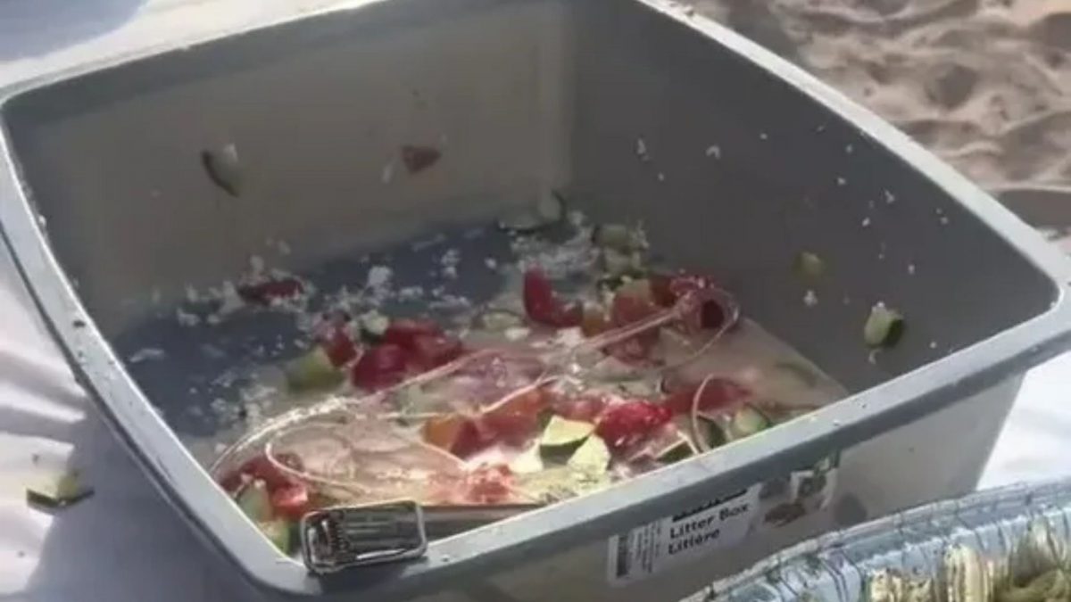 I would sue, thats disgusting people gasp as woman spots ‘disrespectful’ and ‘gross’ detail at a beach wedding buffet [Video]