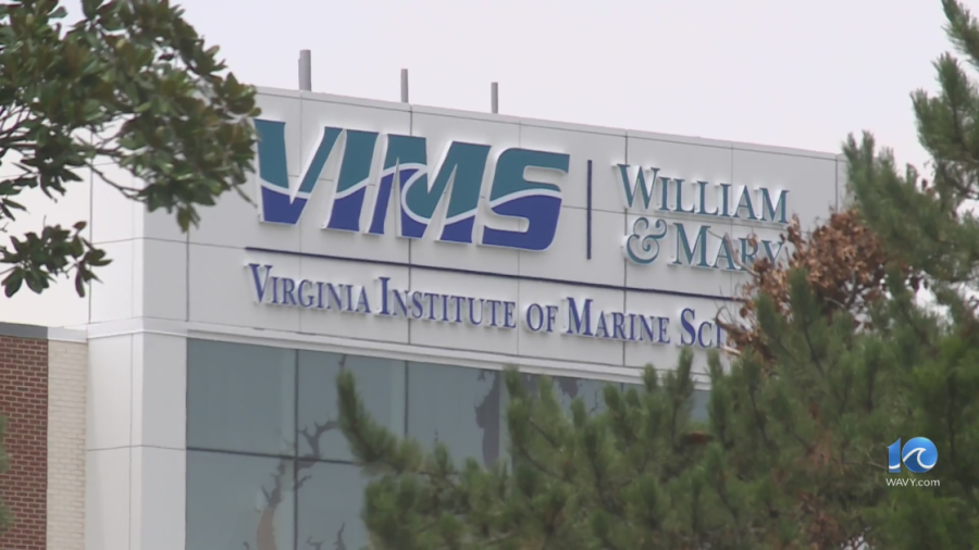 W&M receives its largest ever donation towards the Virginia Institute of Marine Science [Video]